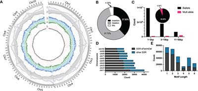 Development of Omni InDel and supporting database for maize